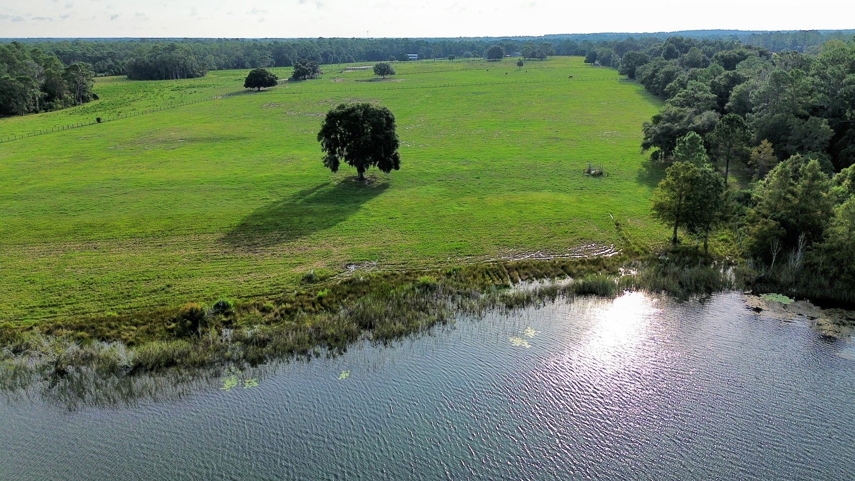 Scenic lake landscape