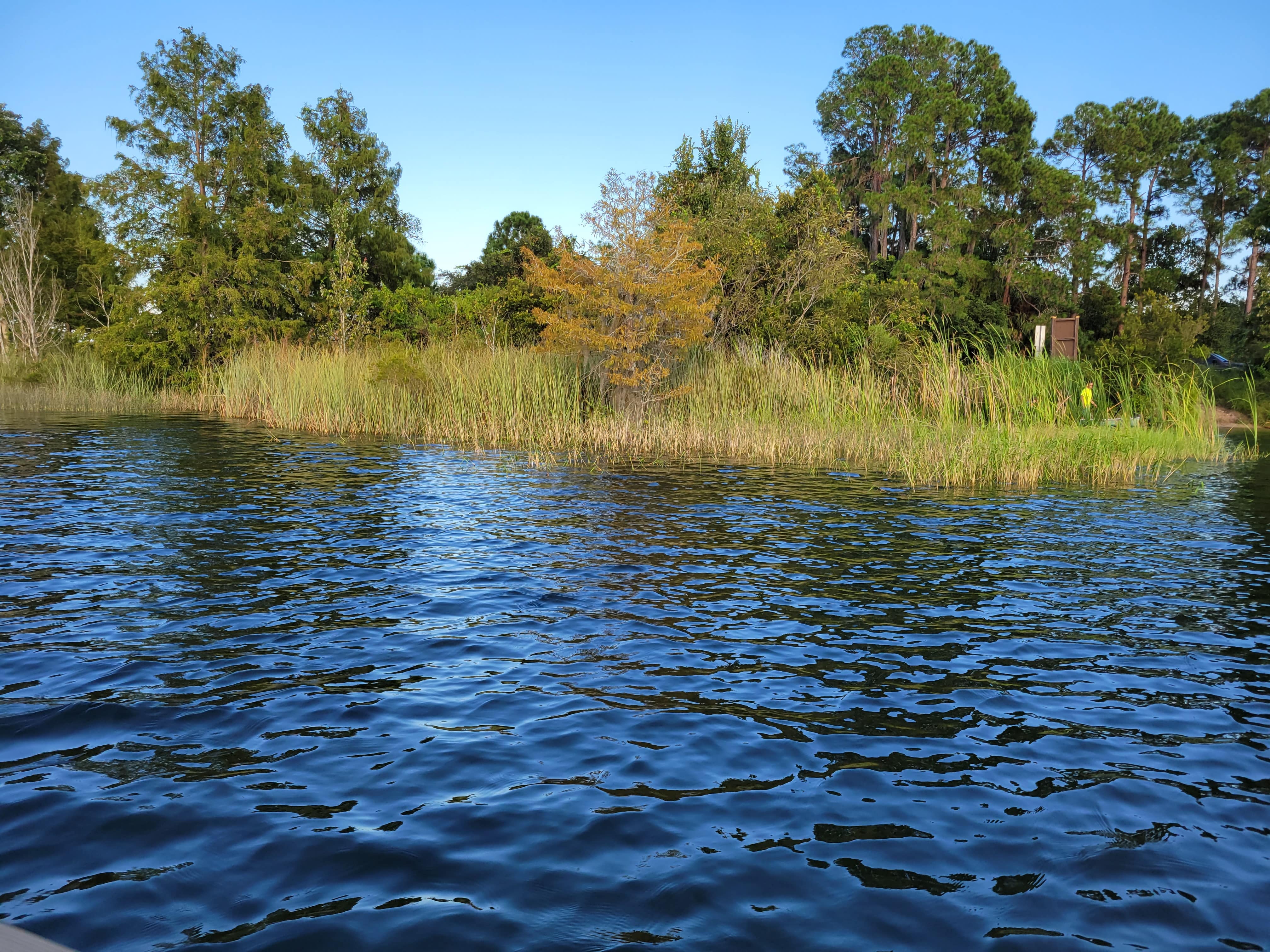 Neighbor property around Lake Dalhousie