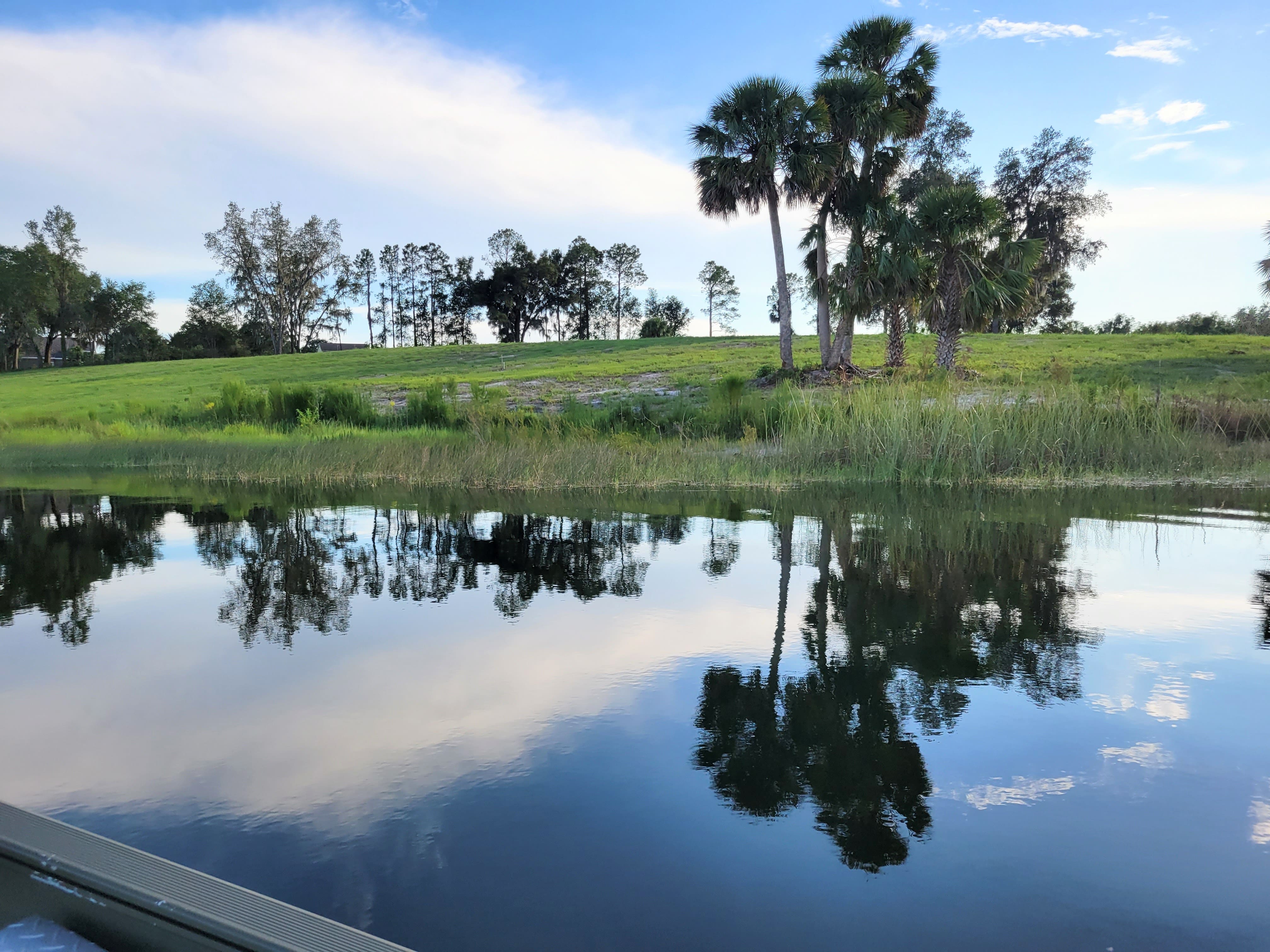 Neighbor property around Lake Dalhousie
