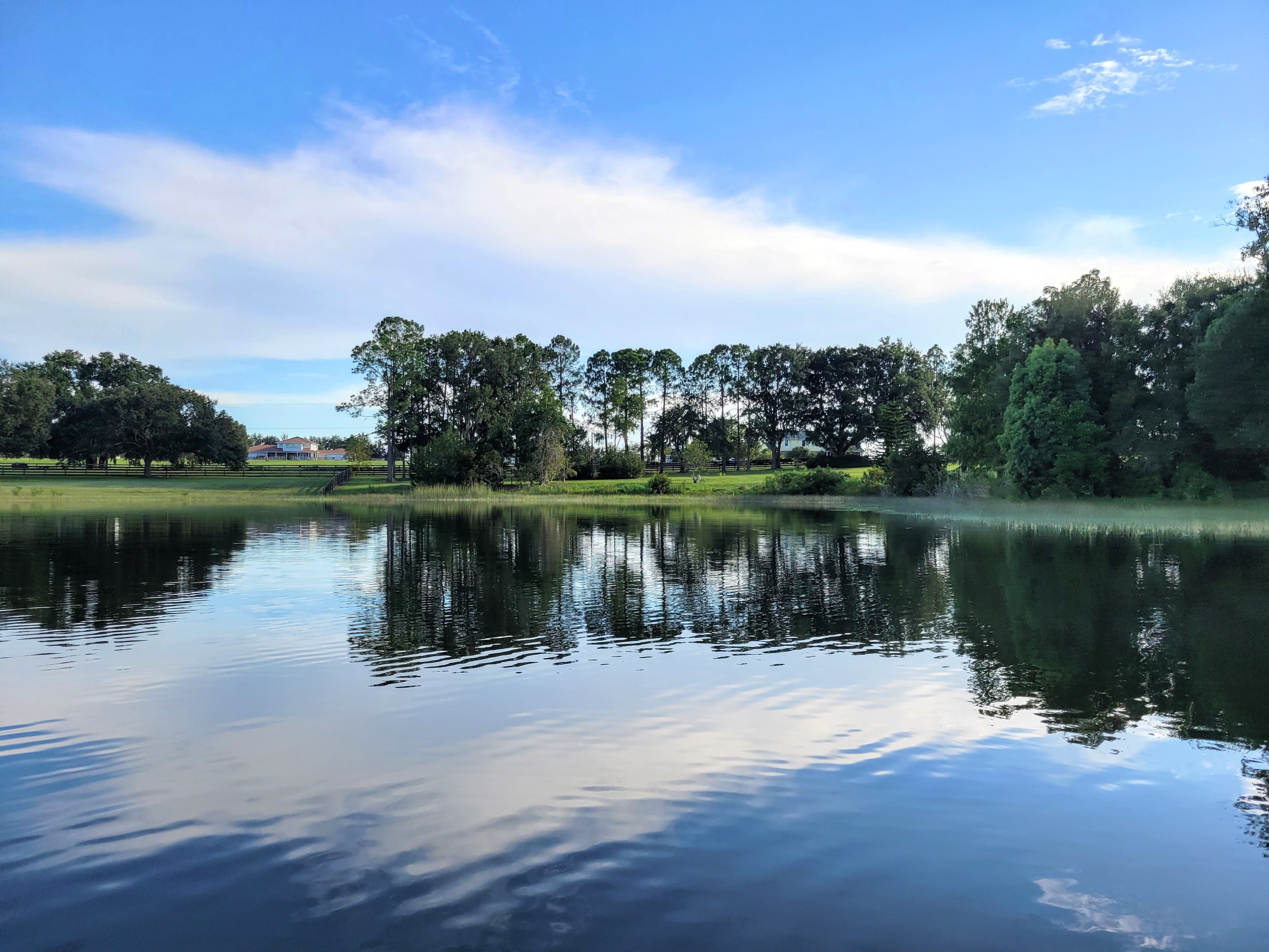 Neighbor property around Lake Dalhousie