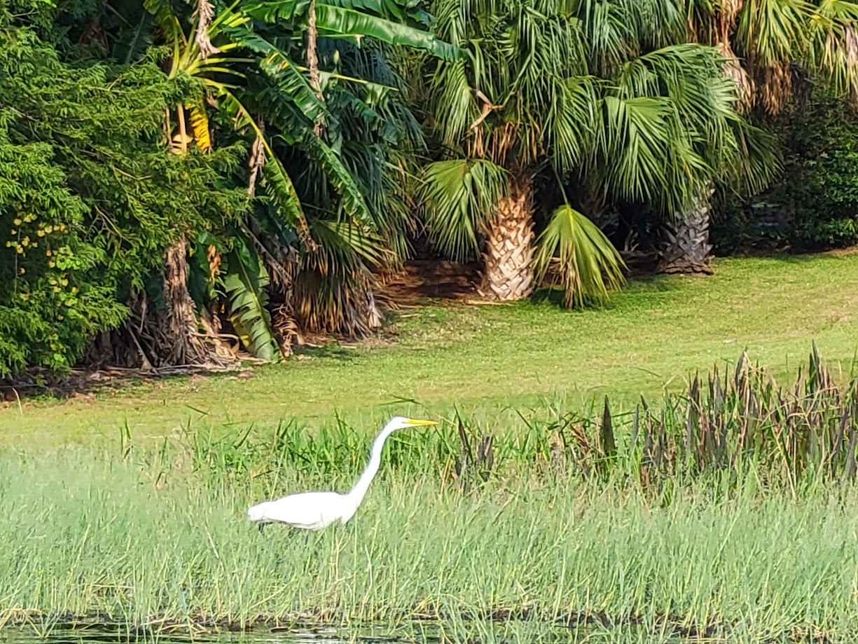 Neighbor property around Lake Dalhousie
